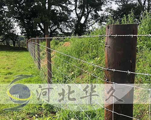刺鐵絲網(wǎng)