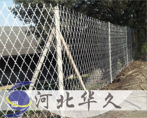 刀片刺網(wǎng)