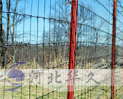 牛欄網(wǎng)