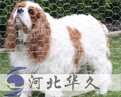 六角網(wǎng)