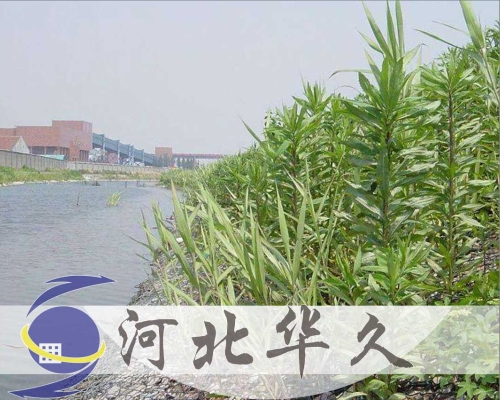 河道防護網(wǎng)